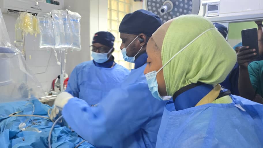 NAUS 3rd Quarter Endourology Workshop in Kano, September 2026. “Scope in Stone out”